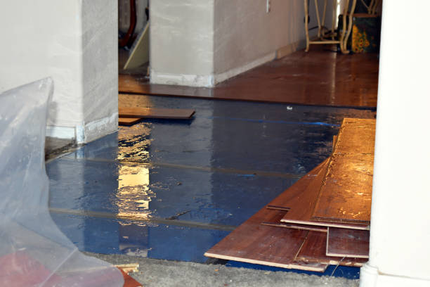 Professional Basement Flood Cleanup technician working in Terrell, TX